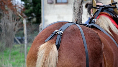 Les Traits de Jadis à Couzon