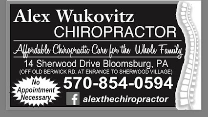 Dr. Alex Wukovitz, Chiropractor