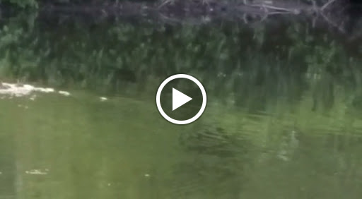 Golf Club «Leewood Golf Club», reviews and photos, 1 Leewood Dr, Eastchester, NY 10709, USA