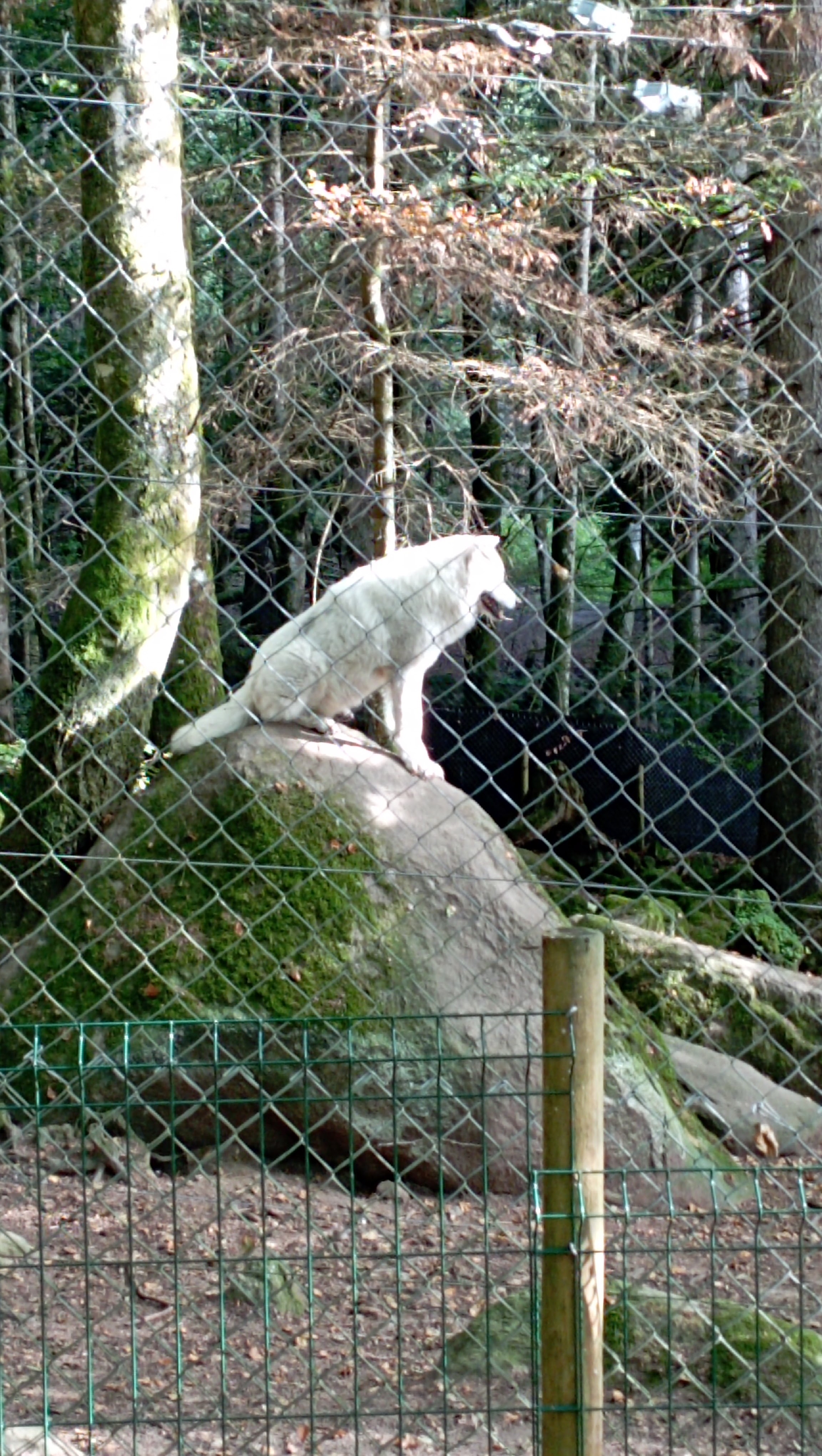 Photo n° 1 de l'avis de Vincent.a fait le 17/08/2023 à 23:56