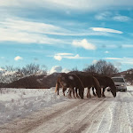 Photo n°4 de l'avis de LUIGI.i fait le 11/01/2023 à 05:10 sur le  Masseria Reale à Castello del Matese