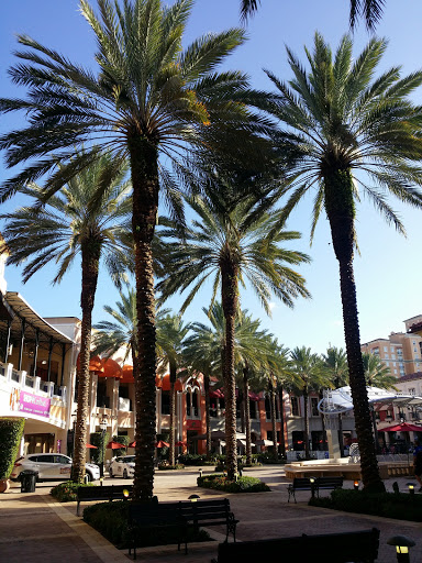 Performing Arts Theater «Kravis Center», reviews and photos, 701 Okeechobee Blvd, West Palm Beach, FL 33401, USA