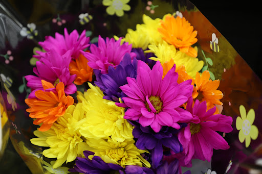 Grocery Store «Food Lion», reviews and photos, 1 New Clyde Hwy, Canton, NC 28716, USA