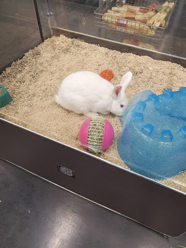 Pet Store «Market Street PET DEPOT», reviews and photos, 2979 S Market St, Gilbert, AZ 85295, USA