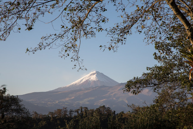 Tambillo Alto, Mejía, Ecuador, Hacienda Sierra Alisos 171106, Ecuador