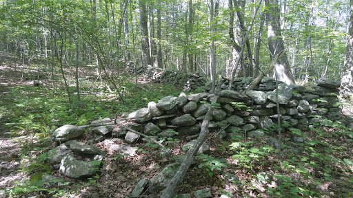 Nature Preserve «Wolf Rock Nature Preserve», reviews and photos, 251 Clover Mill Rd, Storrs, CT 06268, USA