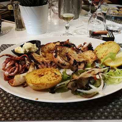 Les Goélands à Sète