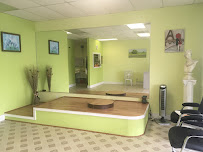 NY Tailor & Alterations - Photo 9 - Car repair in Spring, TX, The Woodlands