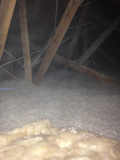 Pest Control Service «Critter Control of Miami», reviews and photos