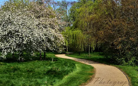 Attenborough Arboretum image