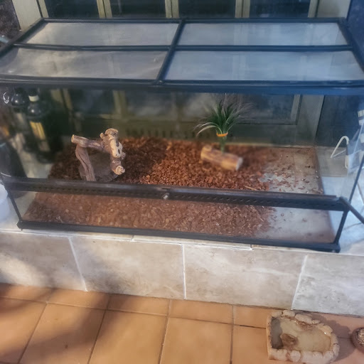 Pet Store «Fish-N-Pets Unlimited», reviews and photos, 11710 Bissonnet St, Houston, TX 77099, USA
