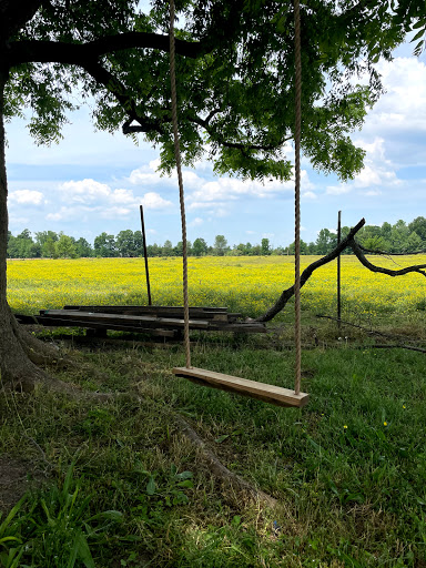 Tourist Attraction «Amish Heritage Farm», reviews and photos, 1016 Brewer Rd, Ethridge, TN 38456, USA