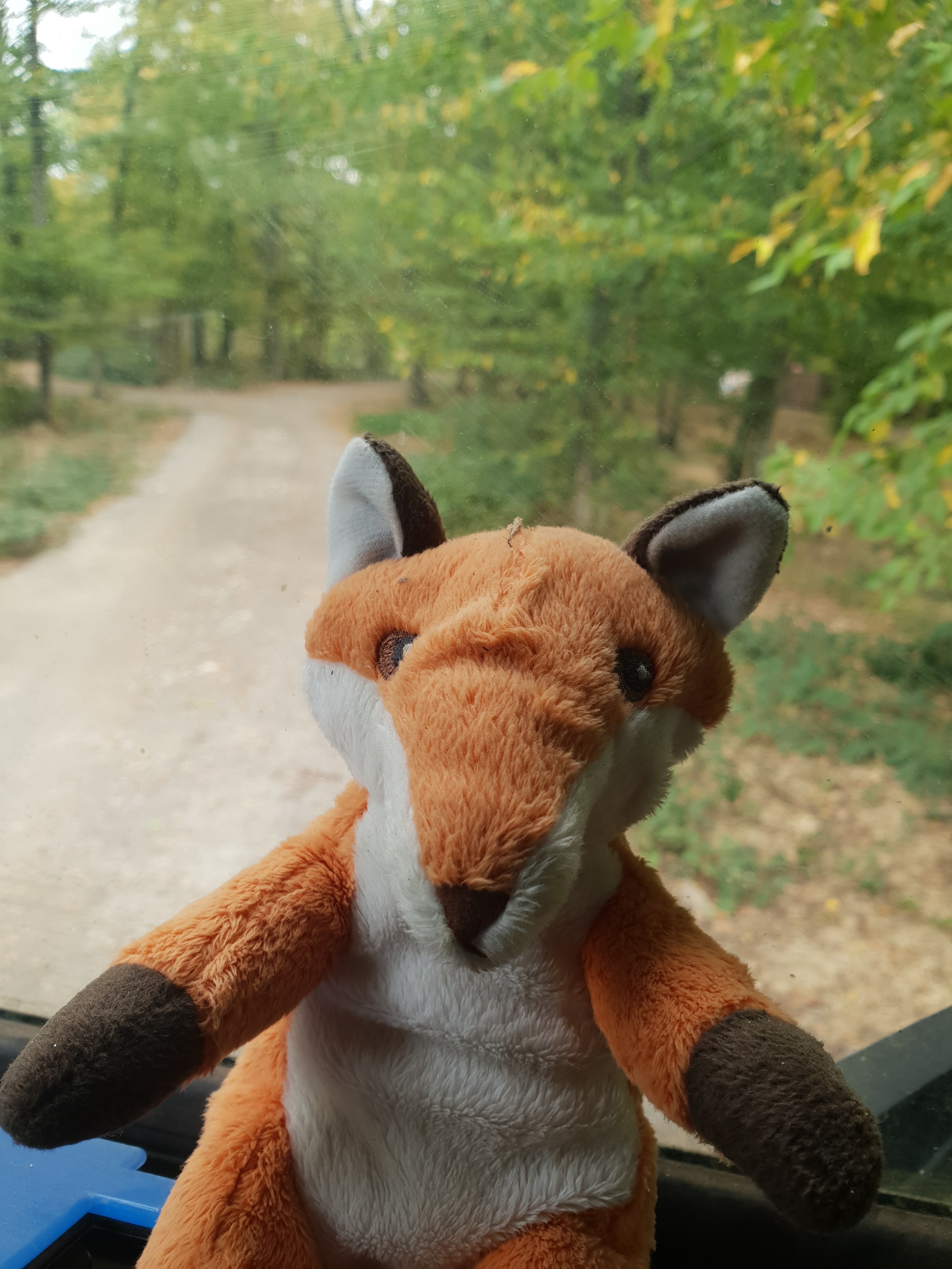 Photo n° 13 de l'avis de Joseph.i fait le 24/03/2017 à 14:23