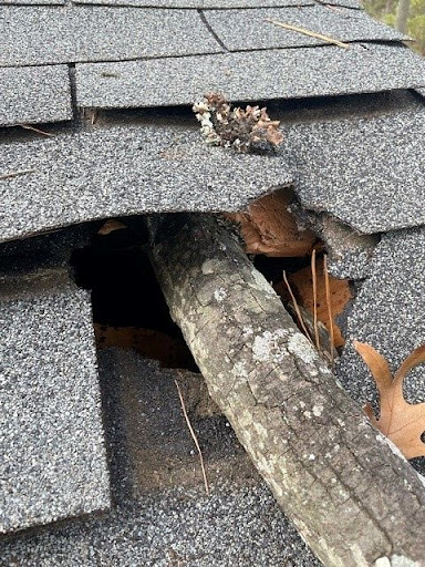 Roofing Contractor «Commonwealth Roofing & Siding», reviews and photos, 14004 Willard Rd k, Chantilly, VA 20151, USA