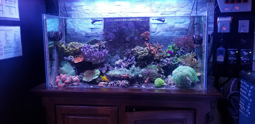 Pet Store «Ark Pet Shop», reviews and photos, 2400 W Lincoln Hwy, Merrillville, IN 46410, USA