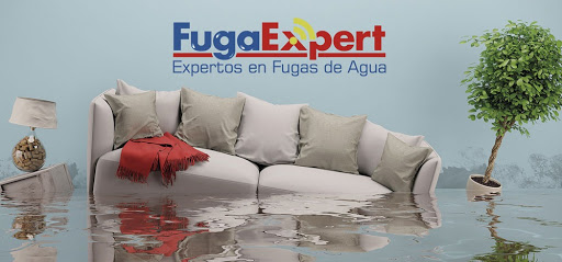 FugaExpert SL