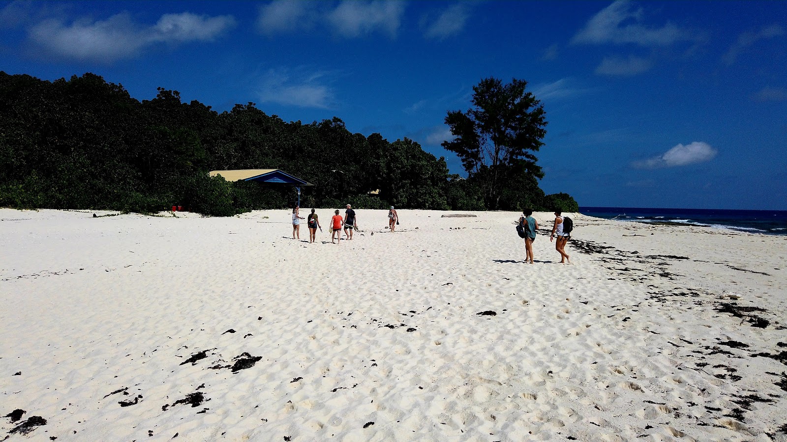 Fotografie cu Cousine Island Beach amplasat într-o zonă naturală