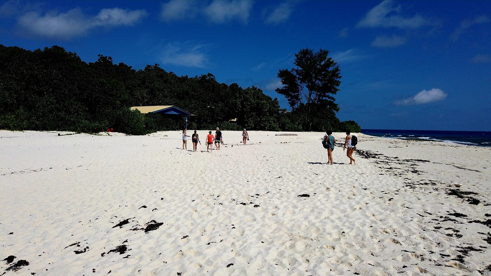Cousine Island Beach'in fotoğrafı uçurumlarla desteklenmiş