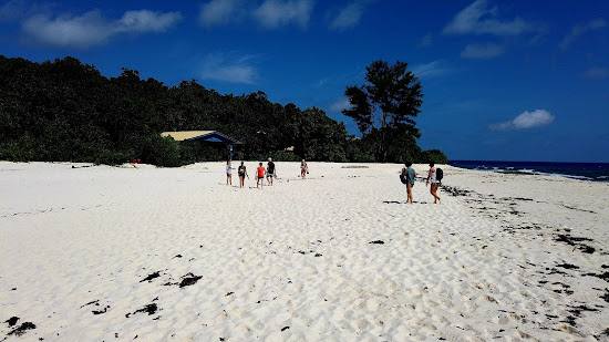 Cousine Island Beach