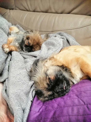 Grodzieńska 12, 16-010 Wasilków