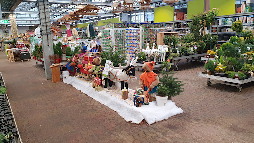 Pflanzen-Kölle Gartencenter GmbH & Co. KG Fellbach unter Fellbach, 