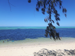 Photo de Banc de sable zone sauvage