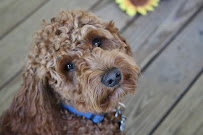 Unspoken Images Photography - Photo 6 - Car repair in , Brockton