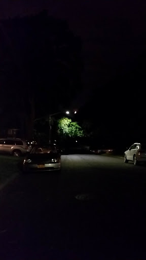 Park «Pinebrook Park», reviews and photos, 110 Ward Dr, New Rochelle, NY 10804, USA