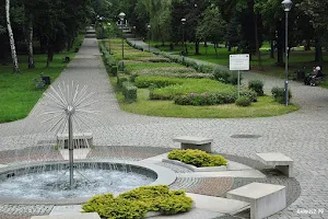 Park Miejski image