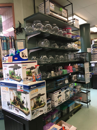 Pet Supply Store «Petland Discounts - Ninth Avenue», reviews and photos, 734 9th Ave, New York, NY 10019, USA