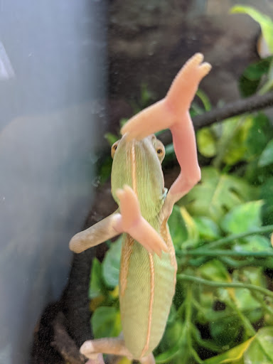 Pet Supply Store «Petco Animal Supplies», reviews and photos, 1220 Commons Cir, Plover, WI 54467, USA