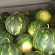 Kastamonu Sebze Meyve Gıda Toptancılar Sitesi