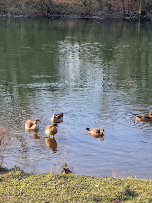Parc naturel urbain Ill Bruche à Strasbourg