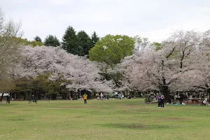 Open Lawn Space, Hikarigaoka Park image