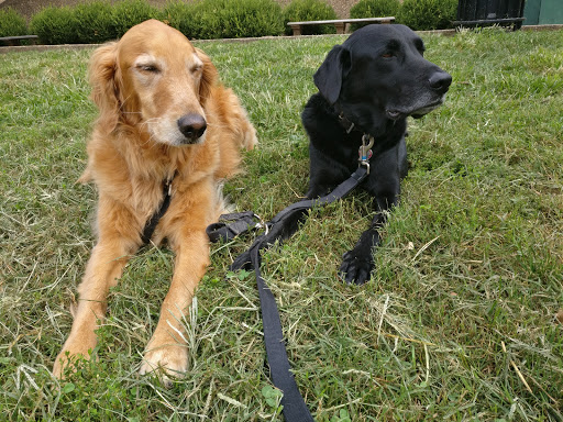 Park «Meridian Hill Park», reviews and photos, 2400 15th St NW, Washington, DC 20009, USA