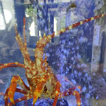 Photo n°1 de l'avis de Irene.g fait le 13/07/2019 à 17:25 sur le  El Cristo à Elvas