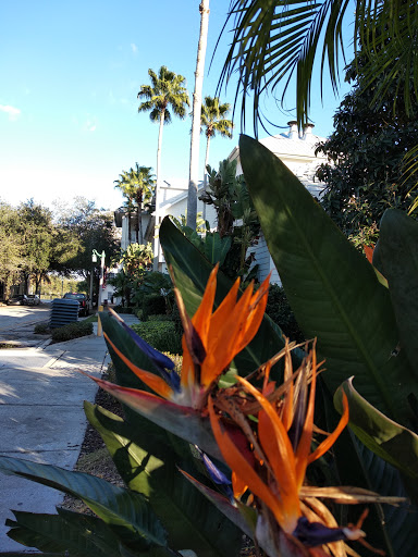 Golf Course «Celebration Golf Club», reviews and photos, 701 Golfpark Dr, Kissimmee, FL 34747, USA