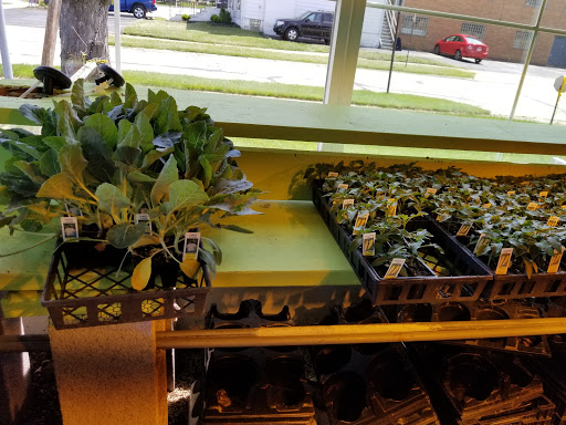 Florist «Lyndhurst Florist», reviews and photos, 5268 Mayfield Rd, Lyndhurst, OH 44124, USA