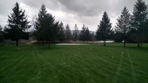 Golf Course «Twin Rivers Golf Course», reviews and photos, 4446 Preston-Fall City Rd SE, Fall City, WA 98024, USA