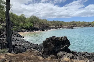 Makena Landing Park image