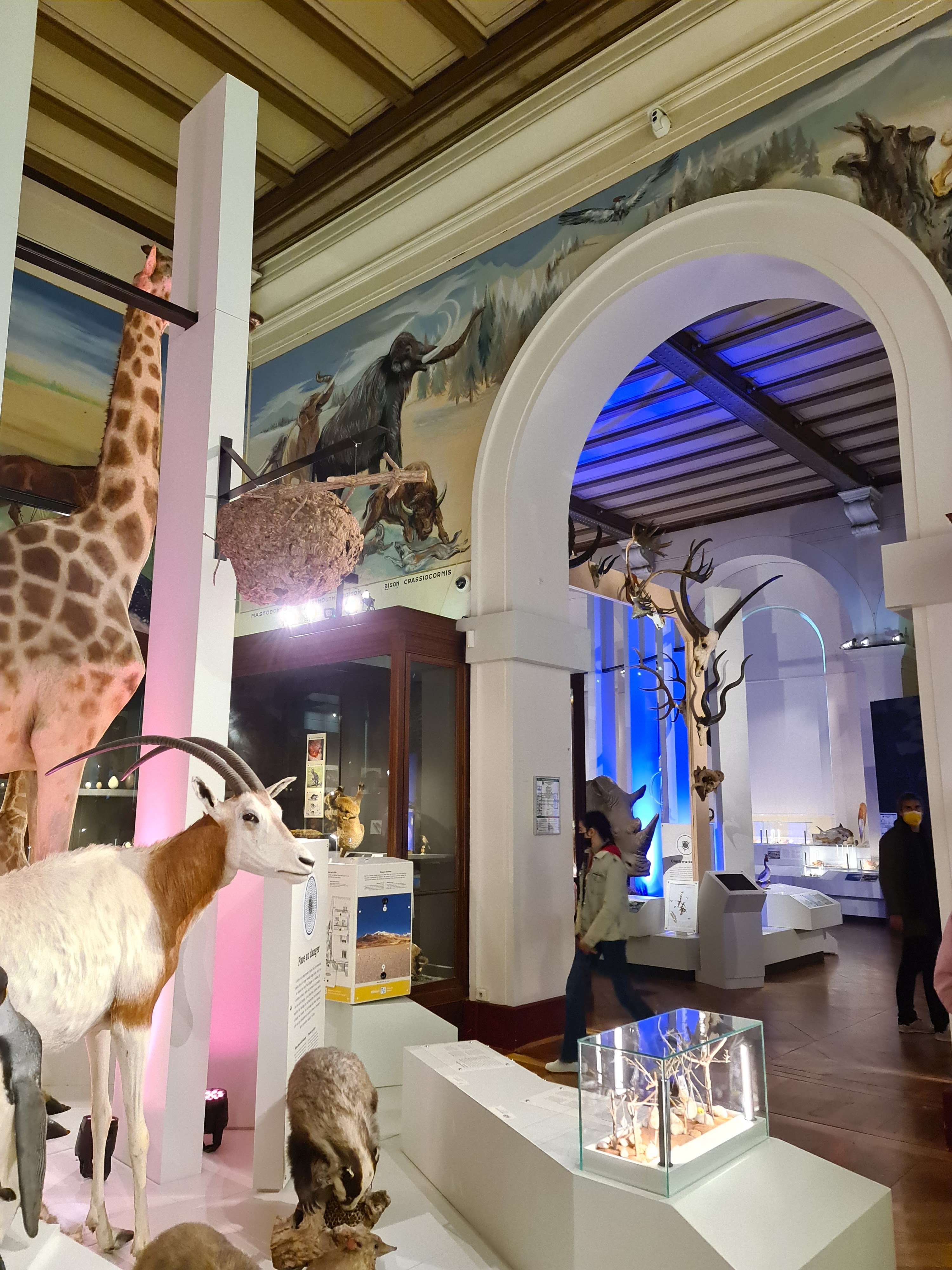 Photo n° 3 de l'avis de Mathéo.b fait le 10/03/2022 à 12:49