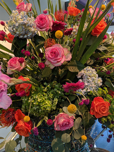 Art Museum «Virginia Museum of Fine Arts», reviews and photos, 200 N Blvd, Richmond, VA 23220, USA