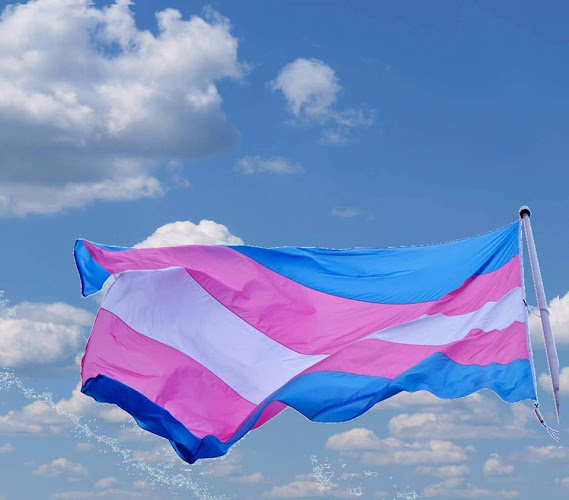 Organizando Trans Diversidades (OTD Chile)