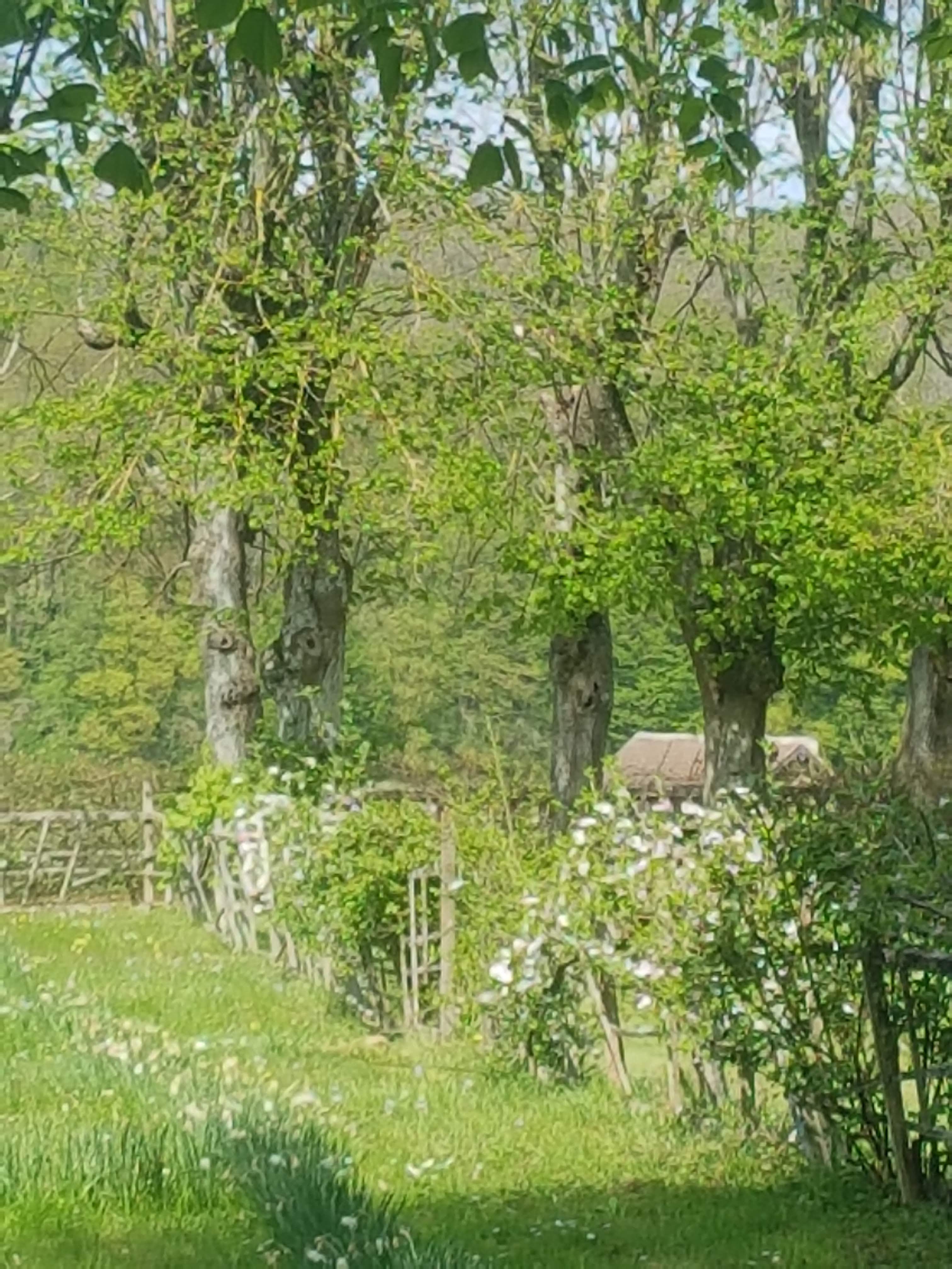 Photo n° 24 de l'avis de Isabelle.e fait le 21/04/2019 à 18:53