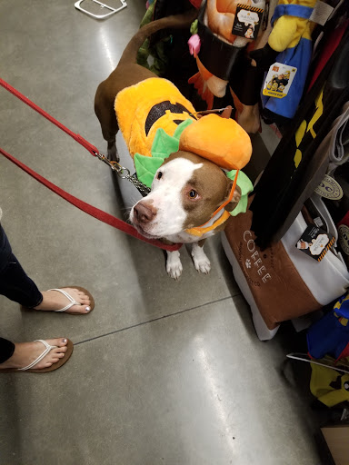 Pet Store «PetSmart», reviews and photos, 2891 Ygnacio Valley Rd, Walnut Creek, CA 94598, USA