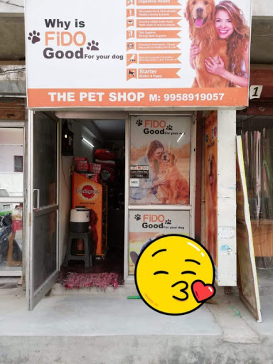 the pet shop