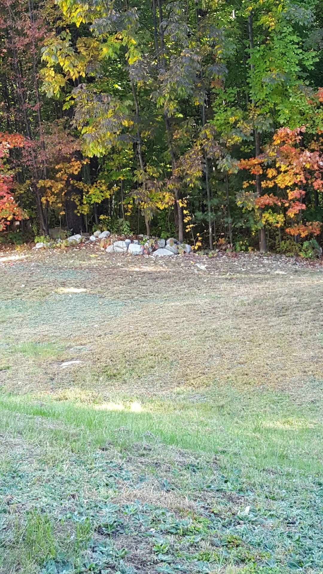 Pumpkin Land