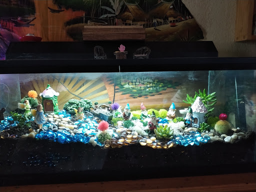 Craft Store «Hobby Lobby», reviews and photos, 8615 Little Rd, New Port Richey, FL 34654, USA