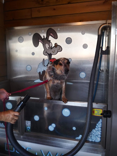 Laundromat «Pirate Coin Laundry», reviews and photos, 3101 TX-35, Rockport, TX 78382, USA