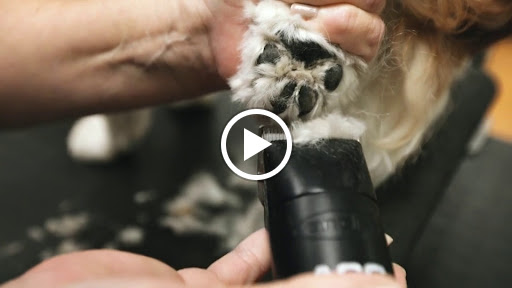 Pet Supply Store «EarthWise Pet Supply & Grooming», reviews and photos, 245 Fries Mill Rd, Blackwood, NJ 08012, USA